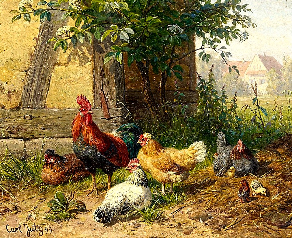 Carl Jutz dÄ Hühner 1899