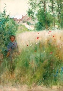 Carl Larsson - 'Vallmor' 1884