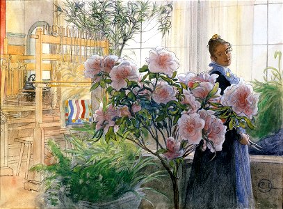 Carl Larsson Azalea Thielska 215