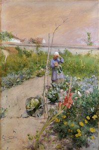 Carl Larsson - In the Kitchen Garden - NMB 165 - Nationalmuseum