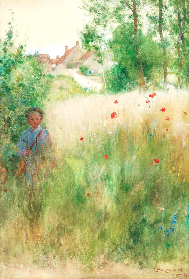 Carl Larsson - Vallmor-Les coquelicots 1884
