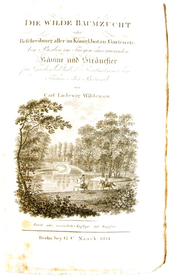 Carl Ludwig Willdenow Die wilde Baumzucht 1811 Titel