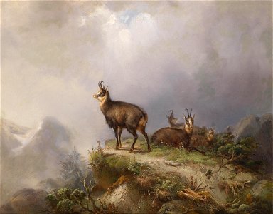 Carl Ockert Gämsen