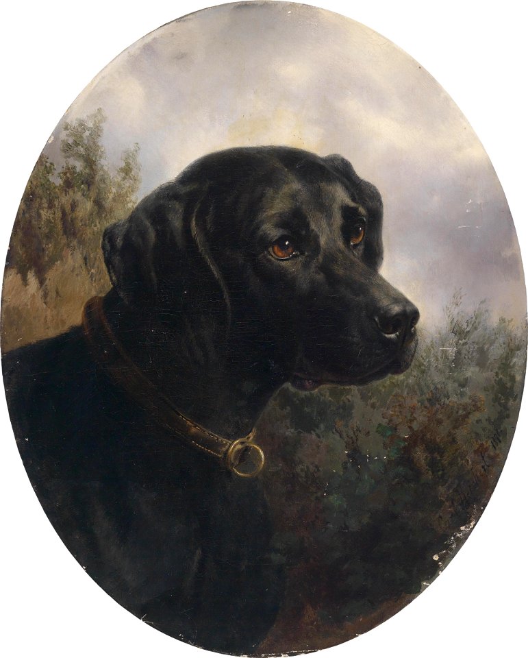 Carl Reichert Hector 1871