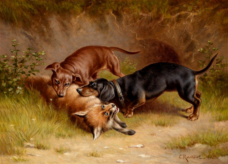 Carl Reichert Jagdbeute 1912