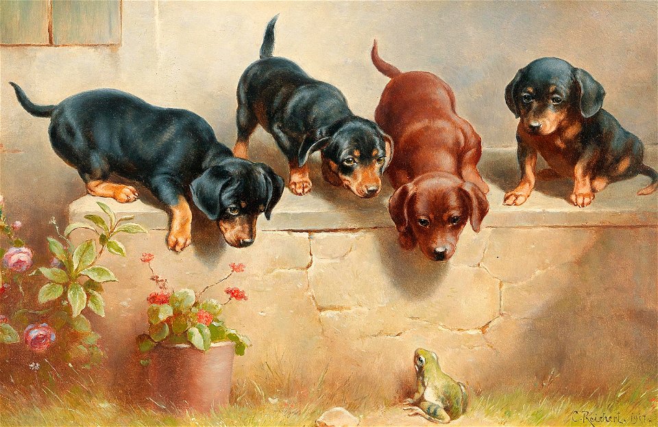 Carl Reichert - Curious dachshund puppies and a frog