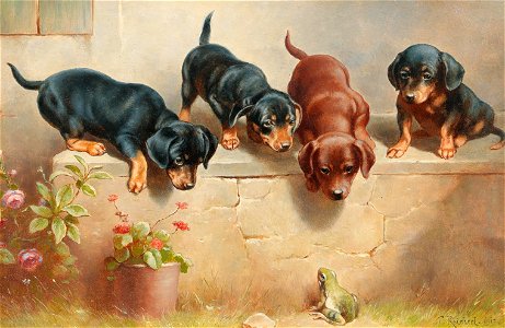 Carl Reichert - Curious dachshund puppies and a frog. Free illustration for personal and commercial use.