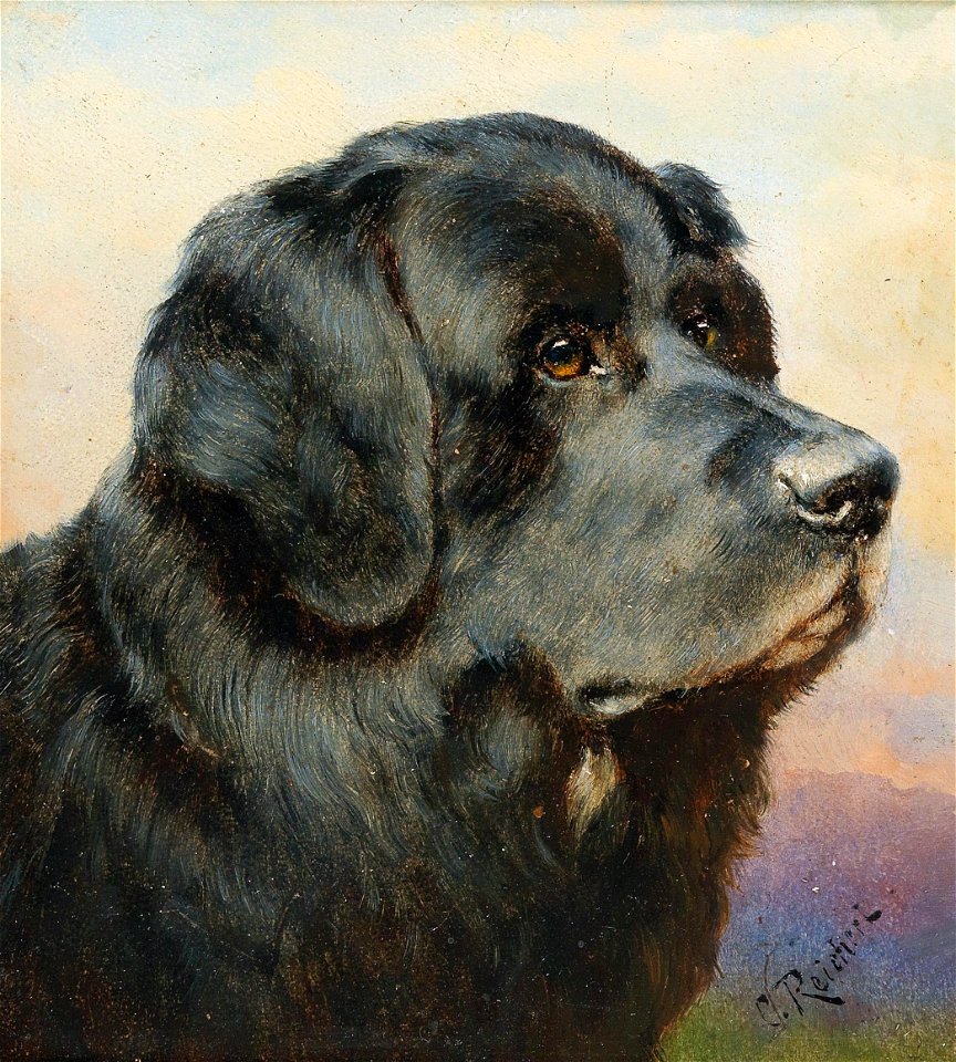 Carl Reichert - A Newfoundland Dog