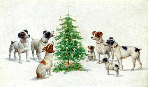 Carl Reichert - Christmas