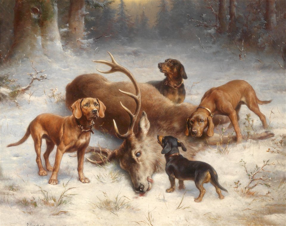 Carl Reichert Schweißhunde mit erlegtem Hirsch 1902
