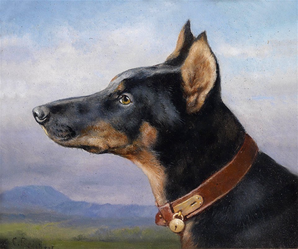 Carl Reichert Portrait eines Dobermanns 1916