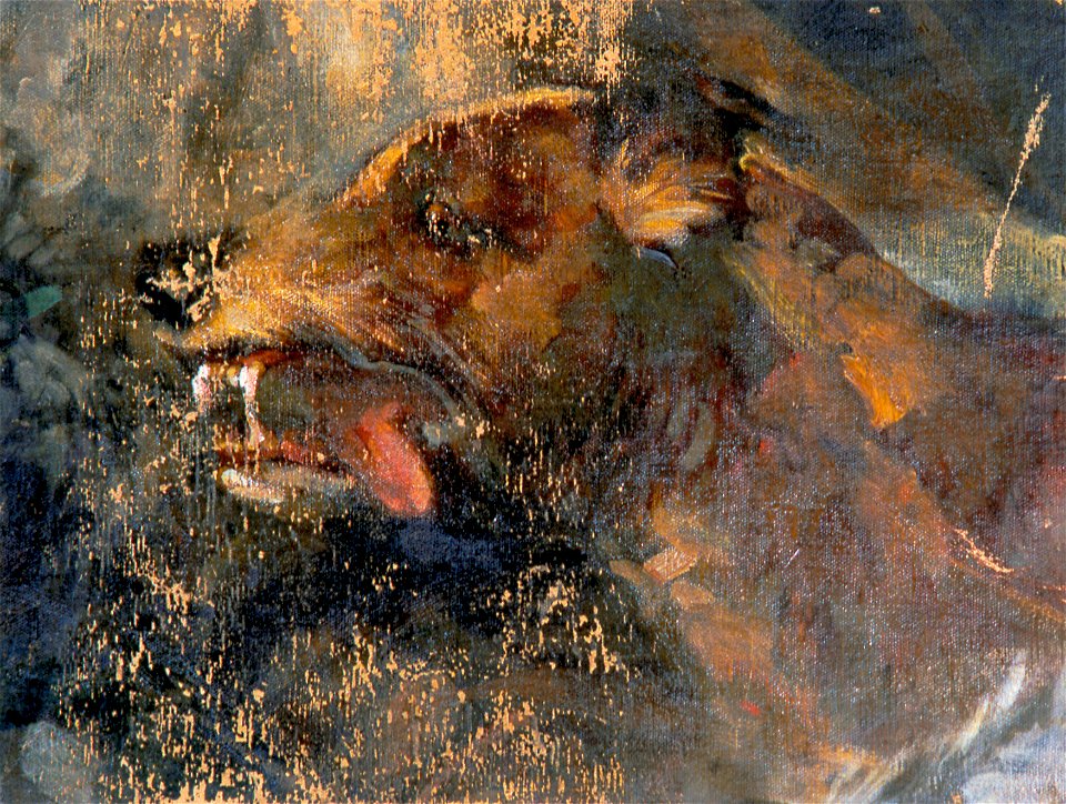 Carl Rudolf Huber - Hundekopf - 5173 - Österreichische Galerie Belvedere