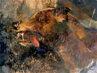 Carl Rudolf Huber - Hundekopf - 5173 - Österreichische Galerie Belvedere