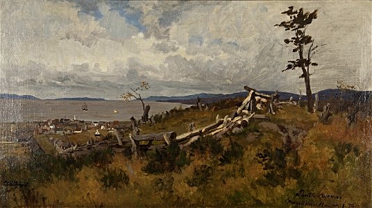 Carl Saltzmann - Punta Arenas Magellan-Straat - BG-M 12093-14 - Berlinische Galerie