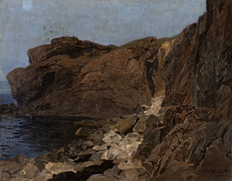Carl Saltzmann - Nordische Felsenküste und Seevögel - BG-M 12084-14 - Berlinische Galerie