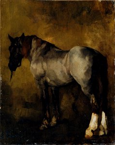 Carl Schuch - Pferdestudie - 1359 - Österreichische Galerie Belvedere