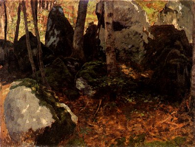Carl Schuch Bemooste Felsbloecke im Wald Saut du Doubs