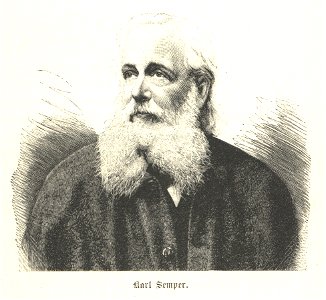 Carl Semper