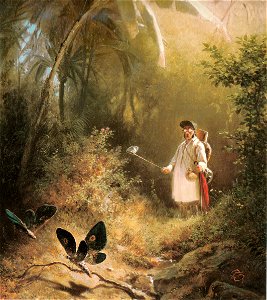 Carl Spitzweg - Der Schmetterlingsfänger