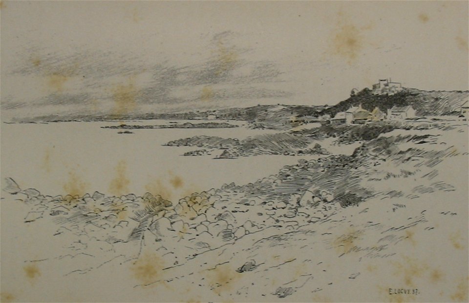 Cobo Guernesey Loevy
