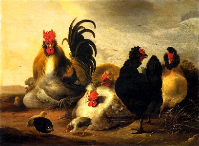 Cock and Hens in a Landscape by Gijsbert Gillisz. de Hondecoeter Mauritshuis 627. Free illustration for personal and commercial use.