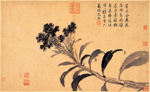 Cockscom, Shen Zhou
