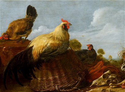 Cock and Hens in a Landscape by Gijsbert d'Hondecoeter Mauritshuis 405. Free illustration for personal and commercial use.