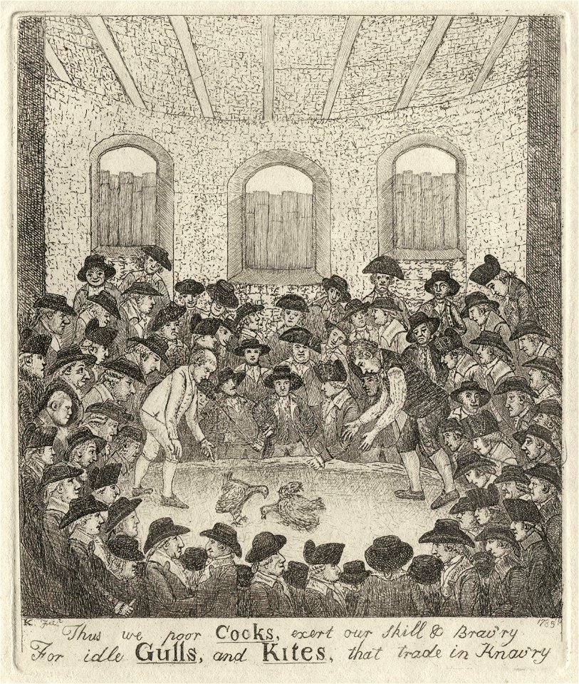 Cock-fighting match by John Kay