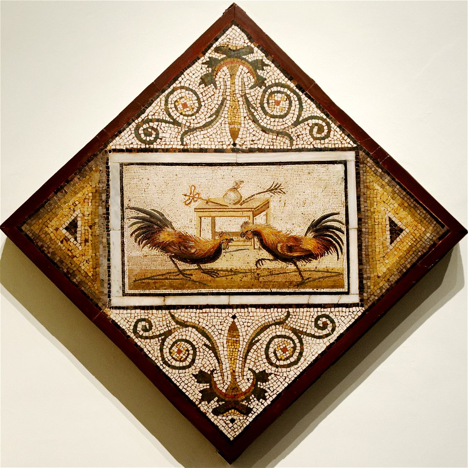 Cockfight Santangelo MAN Napoli