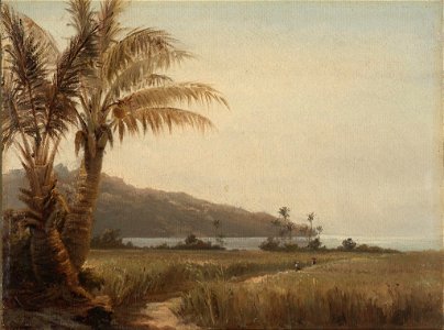 Cocotiers au bord de la mer, St. Thomas (Camille Pissarro) - VMFA 83-45