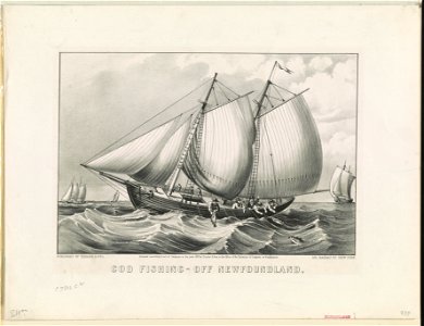 Cod fishing-off Newfoundland LCCN90716175