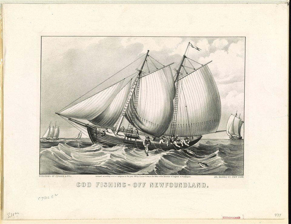 Cod fishing-off Newfoundland LCCN90716175