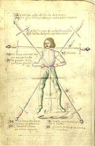 Cod.1324 15v