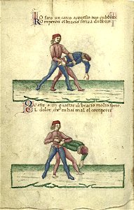 Cod.1324 35v