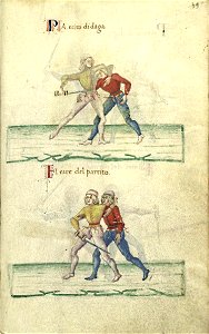 Cod.1324 39r