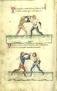 Cod.1324 36v