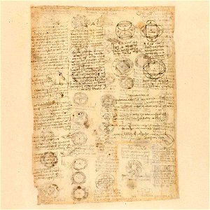 Codex Atlanticus - 000R-432