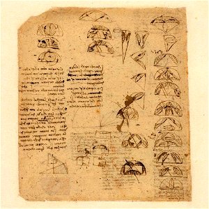 Codex Atlanticus - 000R-496