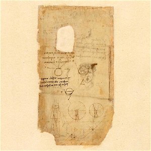 Codex Atlanticus - 000R-491