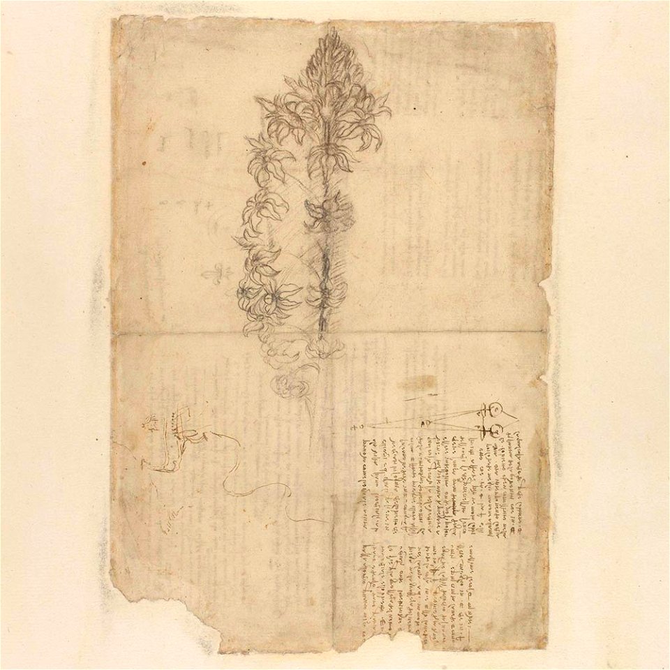 Codex Atlanticus - 000R-663