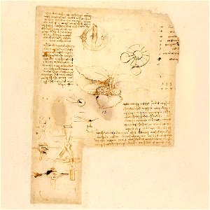 Codex Atlanticus - 000R-713