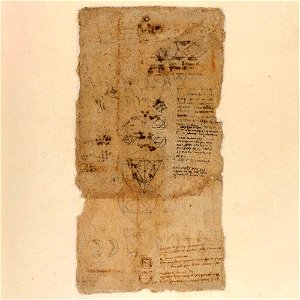 Codex Atlanticus - 000R-774