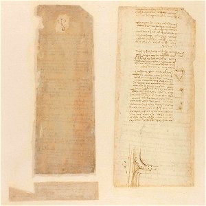 Codex Atlanticus - 000R-732
