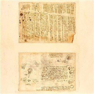 Codex Atlanticus - 000R-784