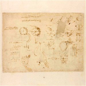 Codex Atlanticus - 000R-84