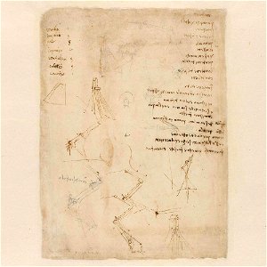 Codex Atlanticus - 000R-861