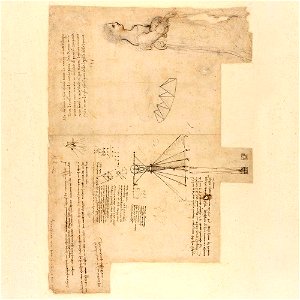 Codex Atlanticus - 000R-816