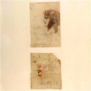 Codex Atlanticus - 000V-118