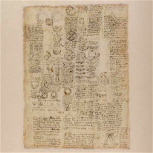 Codex Atlanticus - 000V-124
