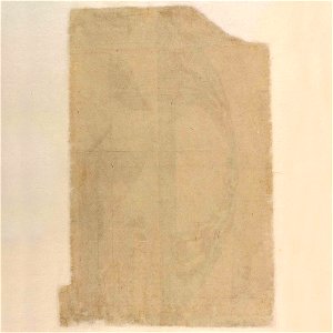 Codex Atlanticus - 000V-116